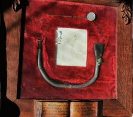 Laryngoscope Manuel Garcia jr