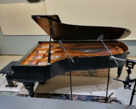 piano Schiedmayer cnrs